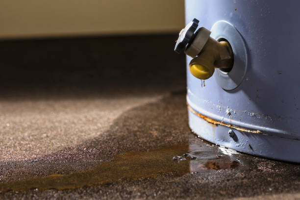 Best Water damage restoration mold remediation  in , RI