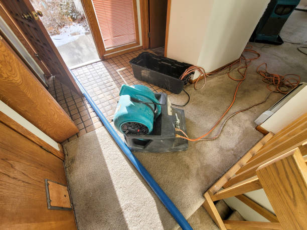 Best Ceiling water damage repair  in , RI