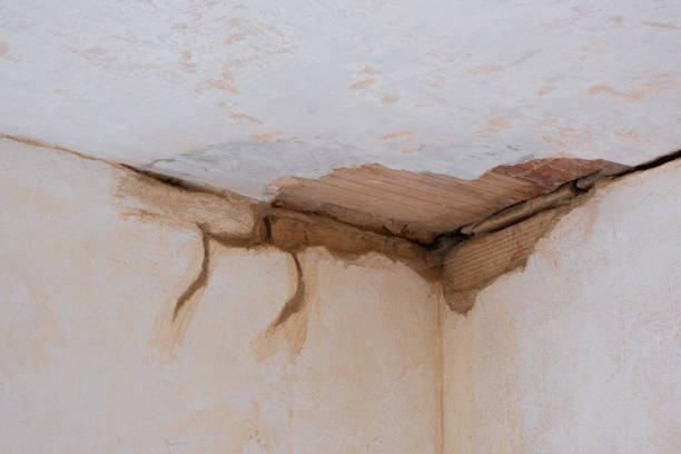 Best Water damage restoration near me  in , RI