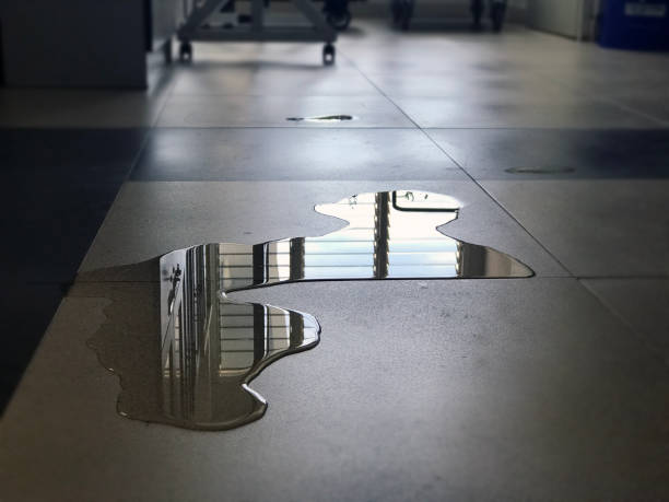 Best Water damage restoration services  in , RI