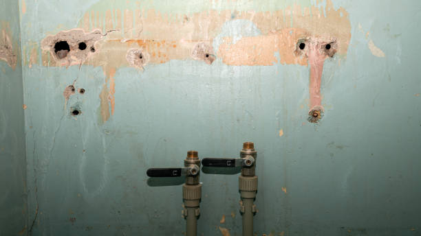 Best 24-hour water damage restoration  in , RI
