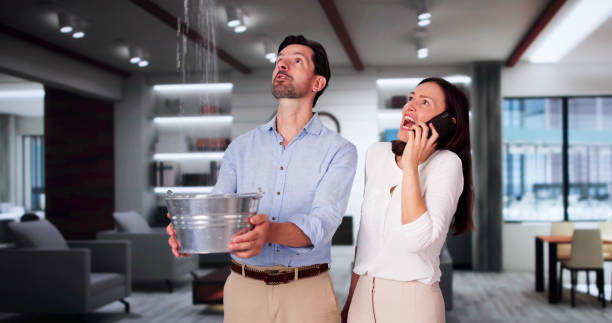 Best Mold removal after water damage  in , RI